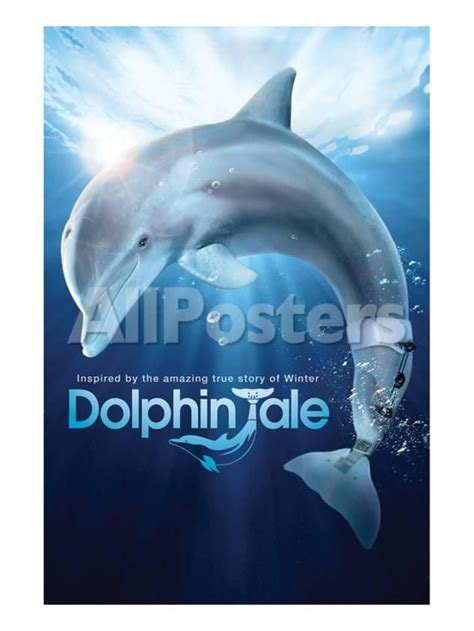 Dolphin Tale I Movies Art Print - 23 x 30 cm | Dolphin tale, Dolphins ...