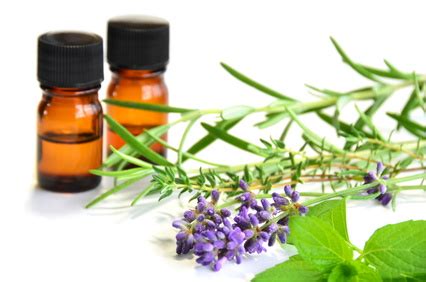 Aromatherapy Oils and Bases for Beginners