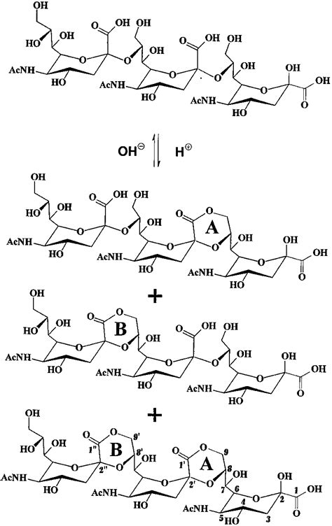 The three isomeric lactones of 2,8-linked Neu5Ac trimer. The positions ...