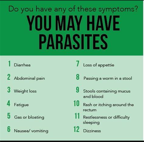 How To Get Rid of Parasites - Holistic Health