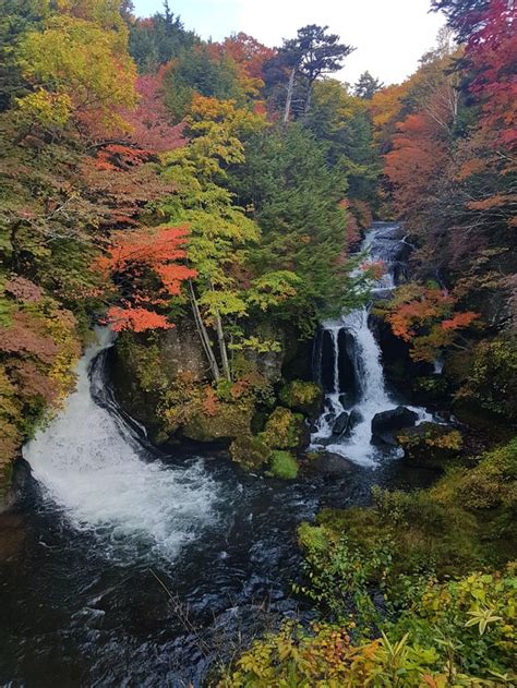 Autumn in Nikko national park in Japan : Autumn