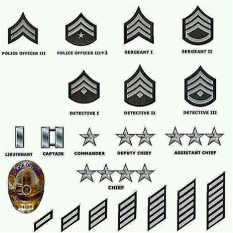 Fresh 20 of Ranks Of Police Officers | pljadvisors