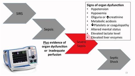 1. Gram Negative Sepsis - YouTube