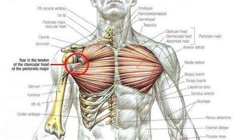 Buffalo Bills Injury Breakdown: Guard Jon Feliciano’s pectoral tear ...