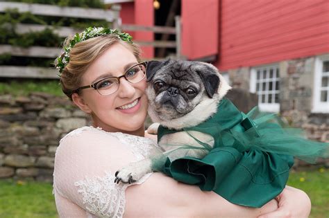 Pug Wedding #pugwedding Pug Wedding, Puppy Love, Pugs, Puppies, Cubs ...