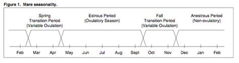 Mare Cycle Chart