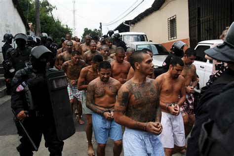 La Mara Salvatrucha pide diálogo al gobierno de El Salvador - Univision