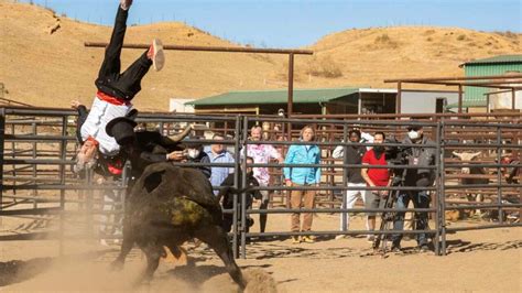 Jackass Forever Promises More Insane Stunts With First Trailer - GameSpot