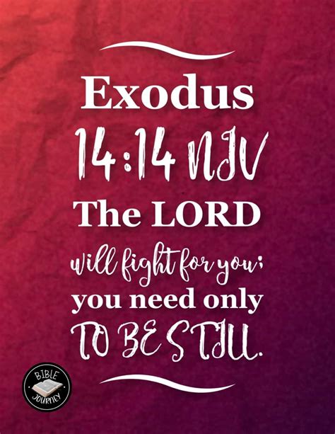 Exodus 14:14 NIV - God's Promises - Trust in God's Plan