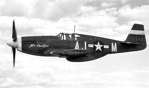 Mustang, Aircraft Profile, USAAF | Blood Red Skies