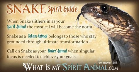 Snake Spirit, Totem, & Power Animal Symbolism and Meaning - What Is My ...