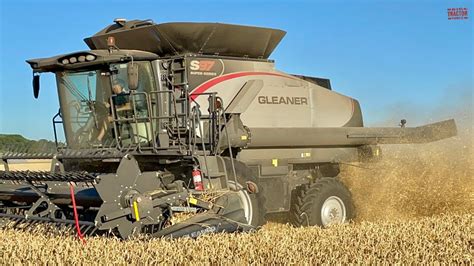 GLEANER S97 Combine Harvesting Wheat - YouTube