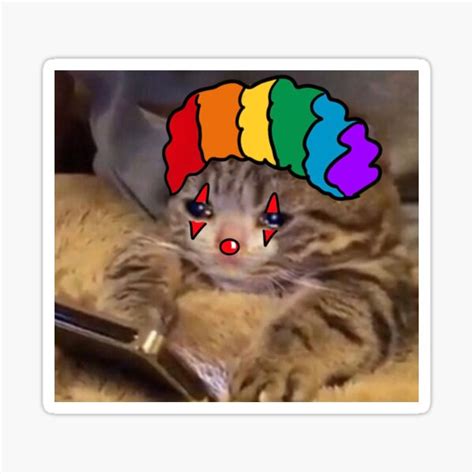 "Clown Cat Meme" Sticker for Sale by ChubbyTink | Redbubble