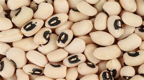 Scientists Decode the Genome of Black-eyed Peas | Technology Networks