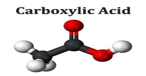 Carboxylic Acid - Assignment Point