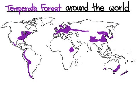 Temperate Biomes — Forests, Plains, Woodlands & Shrublands - Expii