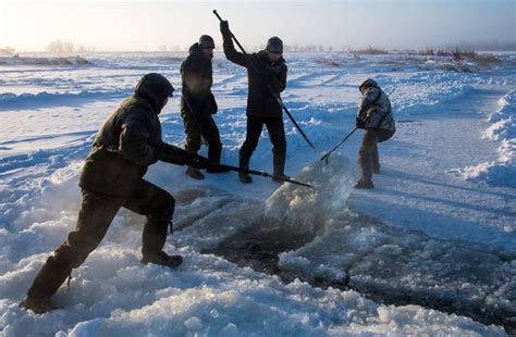 Scientists warn Arctic zombie virus in Siberia could spark terrifying ...