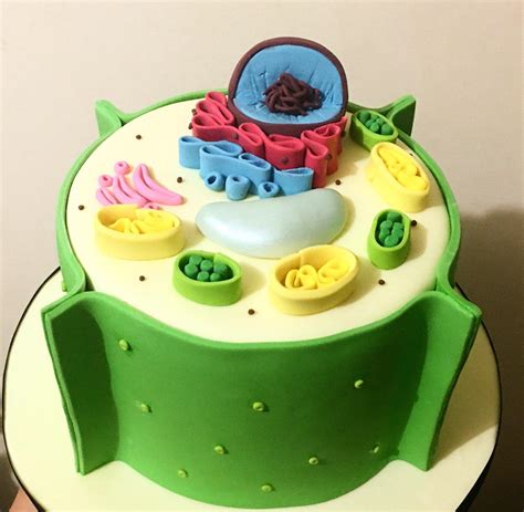 Plant cell cake! 🌱🌿🍃 : r/Baking