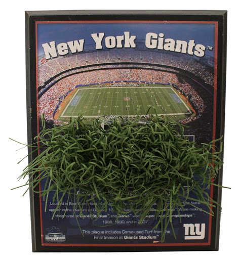 New York Giants Stadium Turf Plaque From Final Season As Is – Denver ...