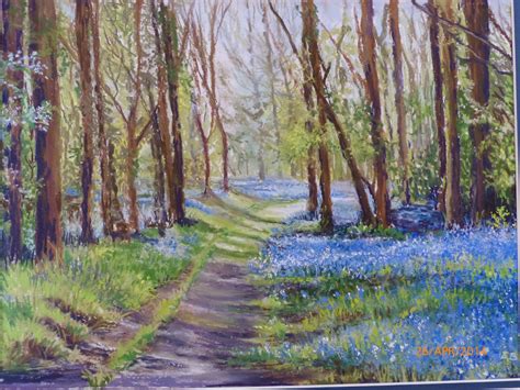 Bluebell Woods - Sue Bates pastel painting (sold) | Landscape paintings ...