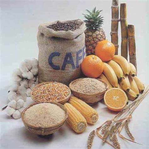 Agricultural Products in Sion (E), Mumbai