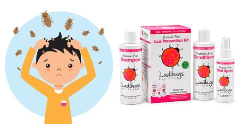 Lice Prevention Tips | Ladibugs Lice Treatment Professionals