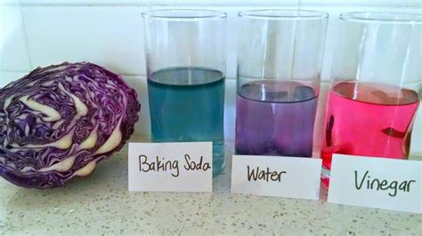 Red Cabbage pH Indicator | Kitchen Chemistry for Kids - Science Kiddo