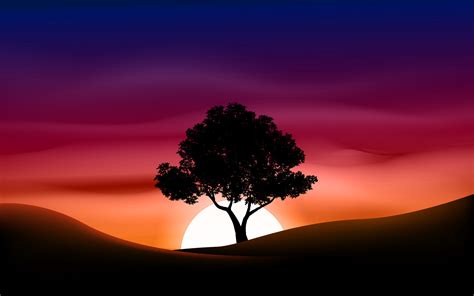 Tree silhouette on red sky sunset or sunrise 4597169 Vector Art at Vecteezy