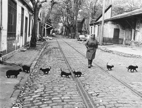 Robert Doisneau | Kulturtipp