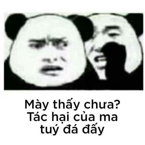 [NCT XX]Chuyện Nghỉ Dịch Tháng Tư | Funny art memes, Cute memes, Cute ...