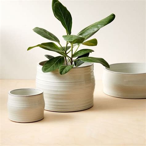 Pin by muneera n on West elm here in 2020 | Ceramic planters, Indoor ...