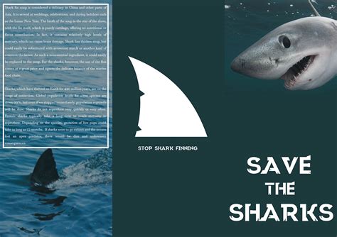 SAVE THE SHARKS :: Behance