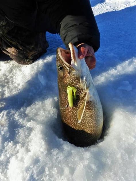 Big prizes up for grabs at first annual Cold Lake fishing tournament ...