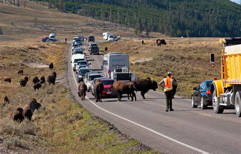 How to get to Yellowstone National Park from Bozeman, MT