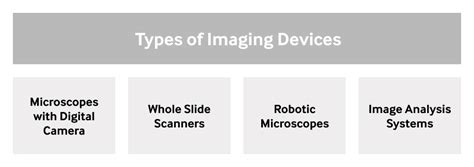 Cancer diagnosis with the help of digital pathology