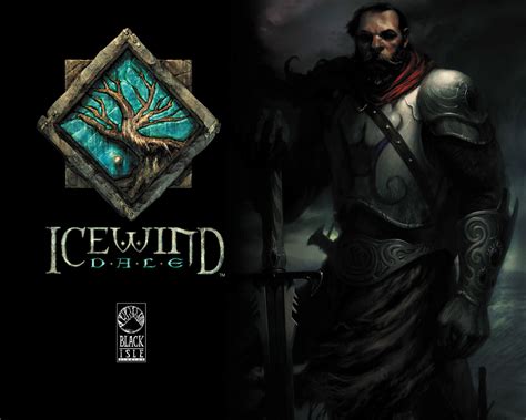 Icewind Dale Artwork | RPGFan