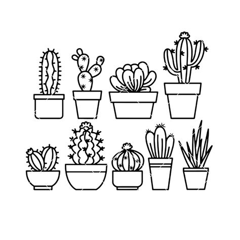 Cactus-Succulent Digital Cut Files Svg, Dxf, Eps, Png, Cricut Vector ...