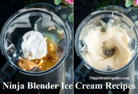 Ninja Blender Ice Cream Recipes Ultimate Guide in 2019