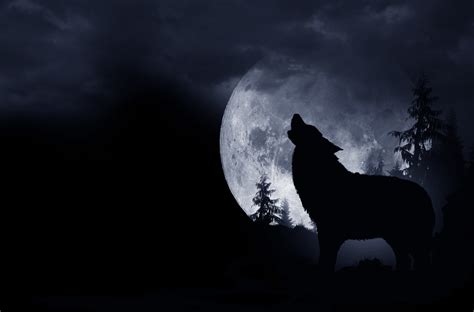 ‘Wolf Moon’ to rise in the sky this week – here’s how you can best view ...