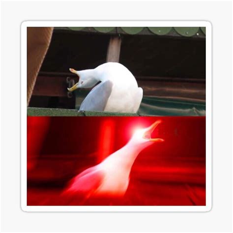 "Inhaling Seagull Meme" Sticker for Sale by FlashmanBiscuit | Redbubble