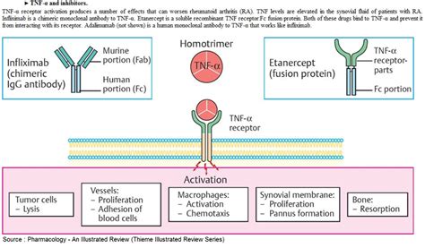 TNF-α and Inhibitors - NEET PG - www.MedicalTalk.Net the Best Medical ...