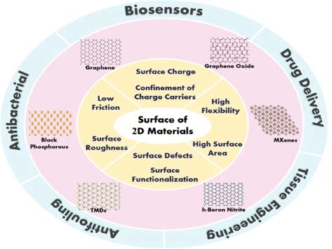 Harnessing the peculiar properties of 2D materials for biomedical ...