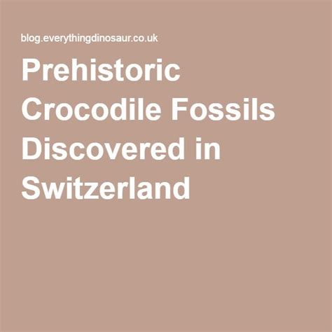 Prehistoric Crocodile Fossils Discovered in Switzerland Crocodiles ...