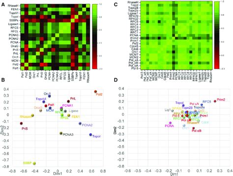 Coevolutionary analysis of archaeal and eukaryotic replication ...