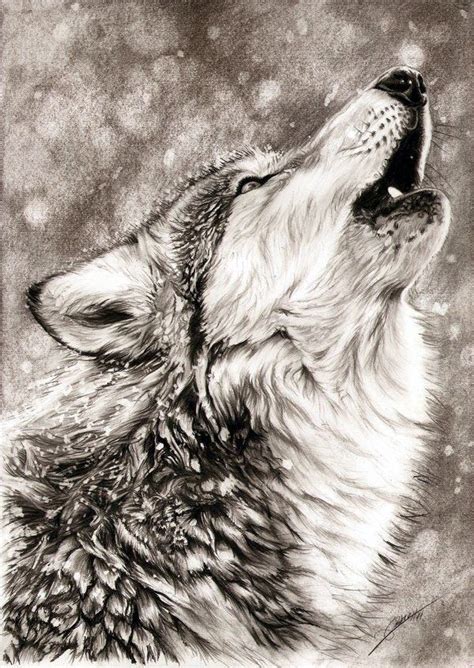 40 realistische Tierbleistiftzeichnungen | Pencil drawings of animals ...