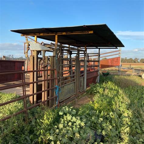 cattle yards | Livestock Equipment - Cattle Yards For Sale