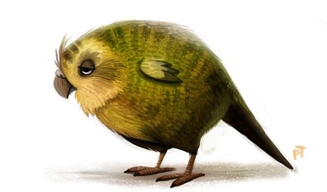 Day 566. Kakapo by Cryptid-Creations on DeviantArt