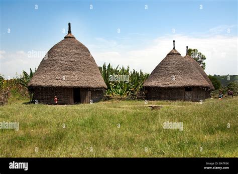 Gurage people typical dwellings, Ethiopia Stock Photo - Alamy