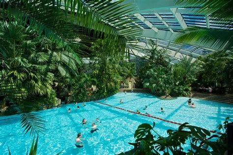 Center Parcs' Subtropical Swimming Paradise changes announced ahead of ...