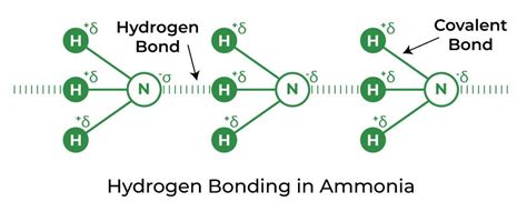 Hydrogen Bonding – Definition, Types, Effects and Properties (2022)